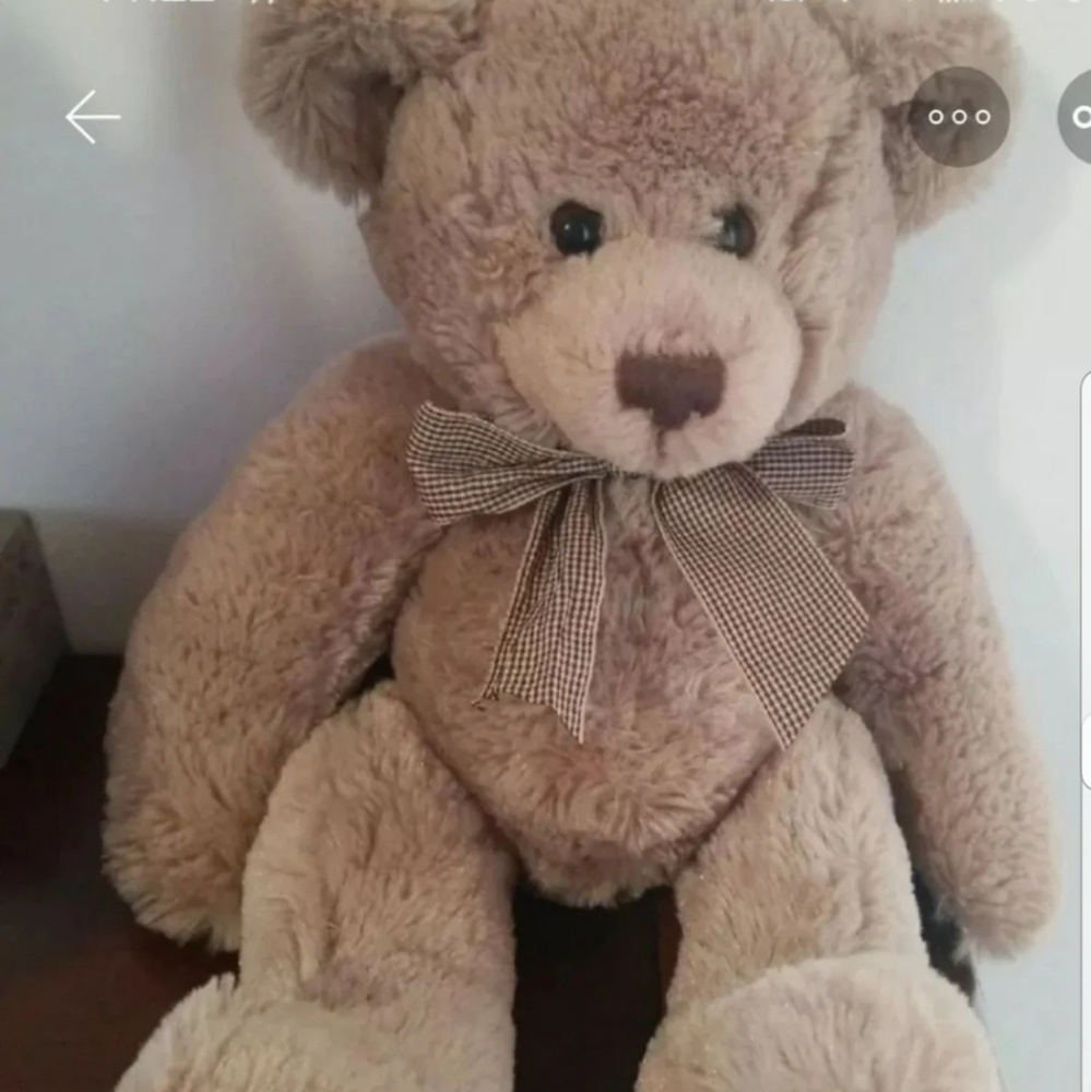 Teddy Bear 🐻 - Picture 2 of 3